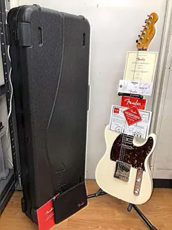 PROFESSIONAL Ⅱ TELECASTER