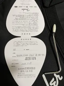 STRATOCASTER LEFTY SAFE