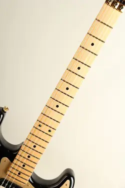 EBONY TRANSPARENT SAFE