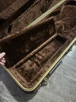GUITAR CASE FENDER