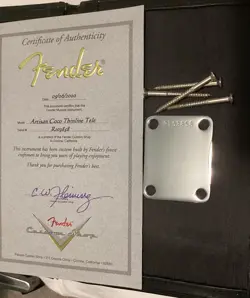 2020 FENDER CUSTOM SHOP ARTISAN COCO THINLINE TELECASTER NECK PLATE