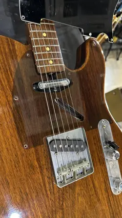 ROSE TELECASTER SAFE