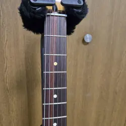 PLAYERII STRATOCASTER HSS