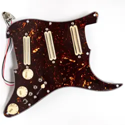 PICKGUARD DUAL RAIL