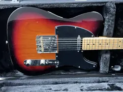 PROFESSIONAL TELECASTER CASE