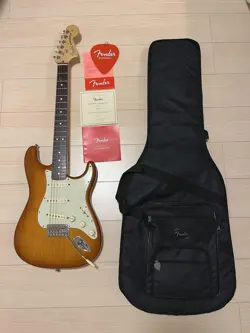 ELECTRIC GUITAR FENDER AMERICAN PROFESSIONAL STRATOCASTER SUNBURST WITH CASE