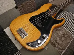 PRECISION BASS NO.DG489
