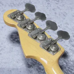 FUJIGEN PERIOD NO.DG400