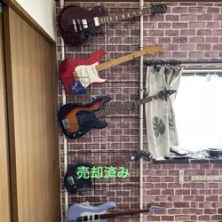 SINGLE ITEM GUITAR BASS FENDER ST #PC3FXK