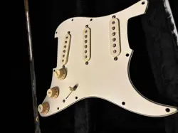 PICKGUARD UNTESTED SUSPECT