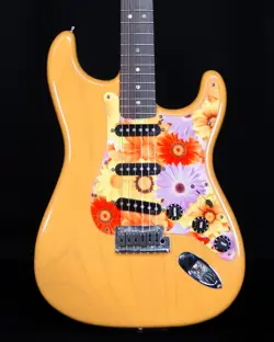 WITH CASE BUTTERSCOTCH