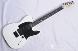 FENDER JIM ROOT TELECASTER EBONY FINGERBOARD, FLAT WHITE