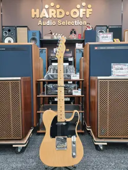 FENDER AMERICAN PROFESSIONAL TELE MN ELECTRIC GUITAR SAFE DELIVERY FROM JAPAN