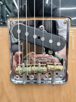 AMERICAN PROFESSIONAL TELE