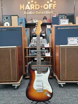 HUMBUCKER PICKUP RAW