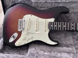 PROFESSIONAL STRATOCASTER CASE