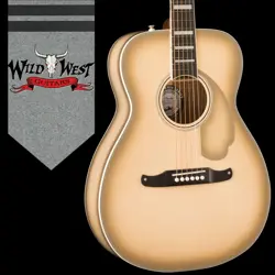 ELECTRIC-ACOUSTIC CASE