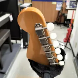 MALIBU SCE ACOUSTIC-ELECTRIC