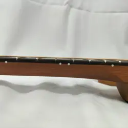 ACOUSTASONIC TELECAST