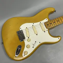 ST54 1993-1994 ELECTRIC