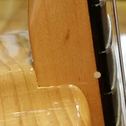 AMERICAN PROFESSIONAL TELECAST