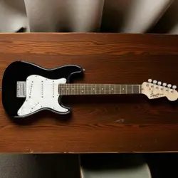 LAUREL FRETBOARD USED