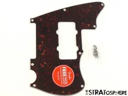 SJ PICKGUARD TORTOISE