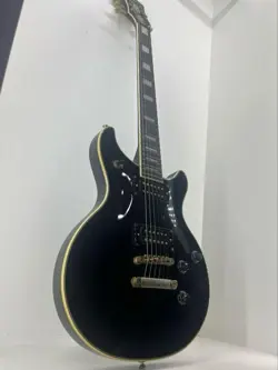 TAK MATSUMOTO DC EPIPHONE FENDER HARD CASE