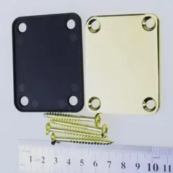 PLATE W/ SCREWS