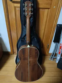 FENDER PARAMOUNT PM-2