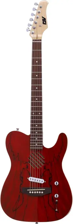 IVY TELEACOUSTIC? ITAP-200 SEMI ACOUSTIC FENDER STRINGS WITH EXTRAS-GIGBAG & MOR