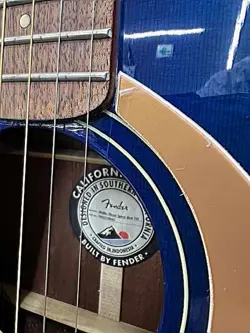 FSR ACOUSTIC ELECTRIC