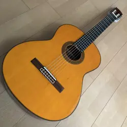 FENDER CG-11