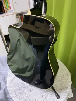 GUITAR DREADNOUGHT FISHMAN