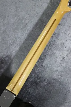 FENDER JAPAN CUSTOMER