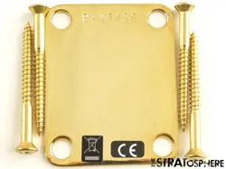 FENDER CUSTOM SHOP SM22 60 STRAT CC CLOSET CLASSIC GOLD CLOSET NECK PLATE
