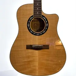 FLAME ACOUSTIC ELECTRIC