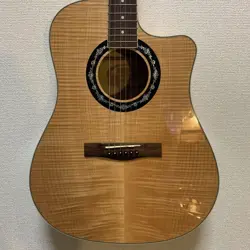 FENDER T-BUCKET 400CE