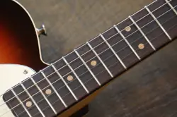 SUNBURST FENDER CASE