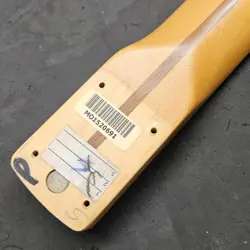 FENDER DELUXE PLAYER