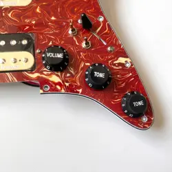 PICKGUARD SET LOADED