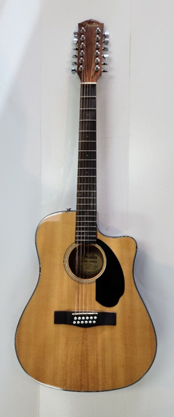 12-STRING DREADNOUGHT ACOUSTIC