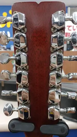 F-55-12 12-STRING ACOUSTIC