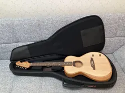 ECO FENDER HIGHWAY SERIES PARLOR