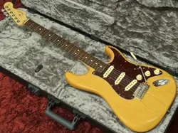 PROFESSIONAL STRATOCASTER #GGCGS