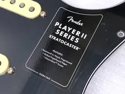 PICKGUARD STRAT PICKUP