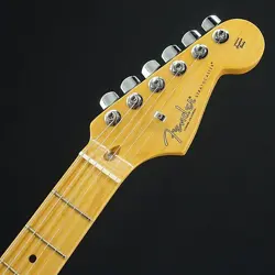 PROFESSIONAL II STRAWCASTER