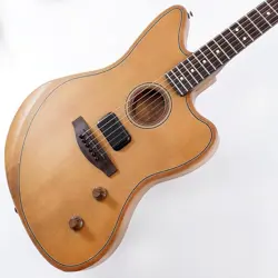 ACOUSTICS ACOUSTASONIC STANDARD