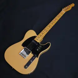 BUTTERSCOTCH BLONDE V2450378