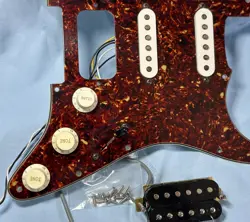 PICKGUARD HSS
